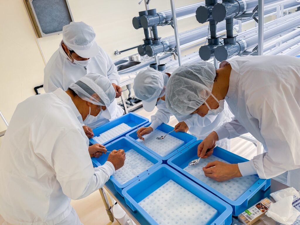 白衣と帽子を身につけた人たちが、青いトレーに種をまいている様子