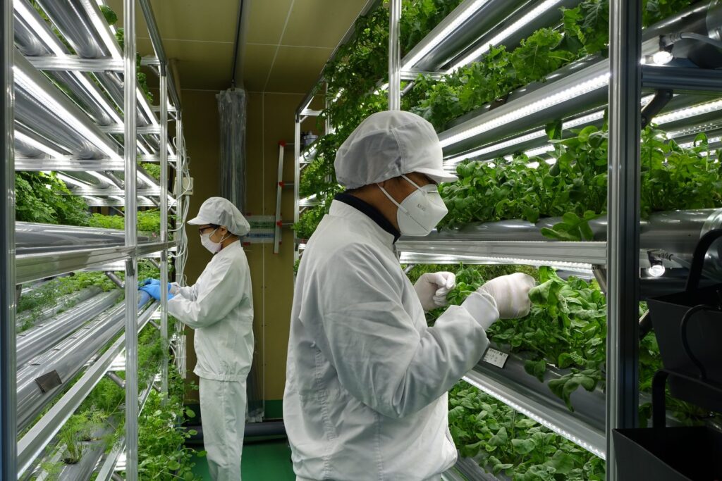 農業を副業で始めるなら。週2回・8畳で回す室内の植物工場という形