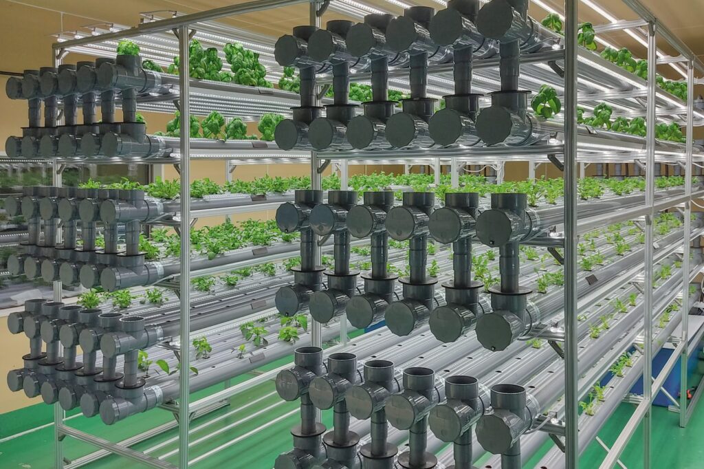 配管とLEDを組み込んだ栽培棚が並ぶ植物工場の室内