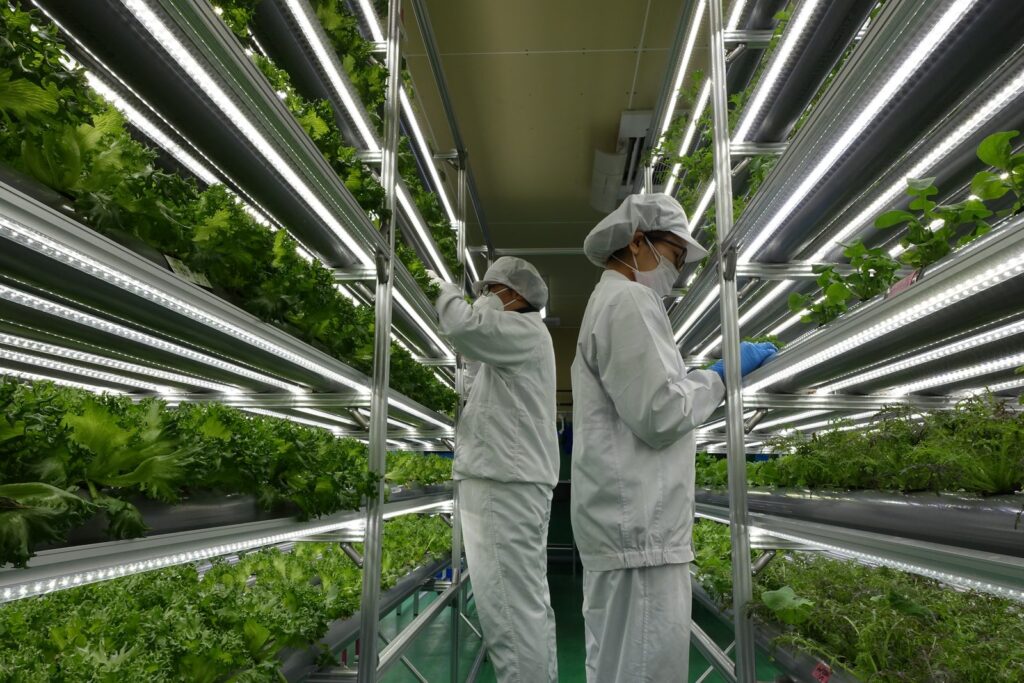 植物工場のメリット・デメリット｜始める前に知る7つの注意点