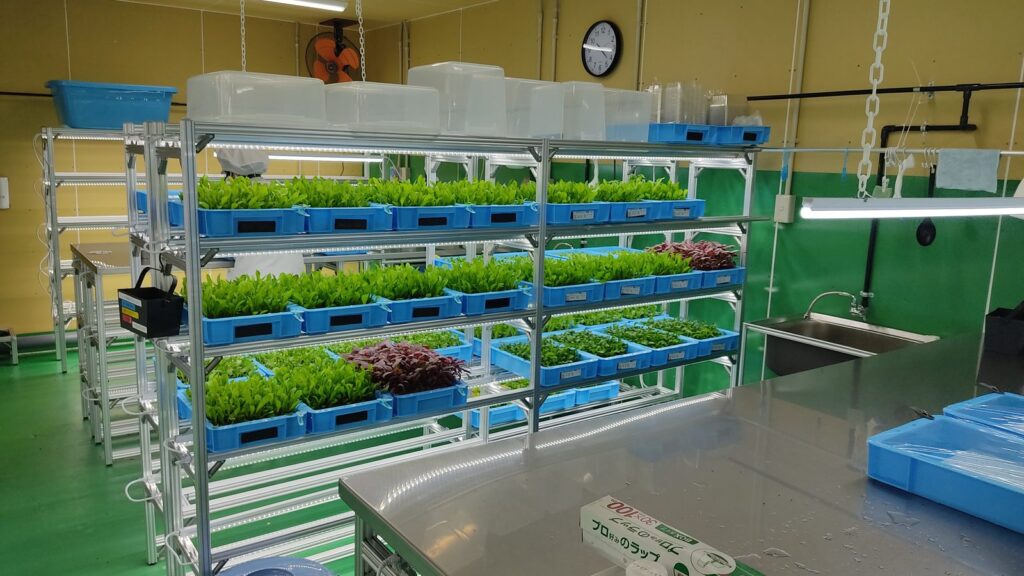 空きスペース活用に植物工場を。8畳ほどの屋内で始める新規事業